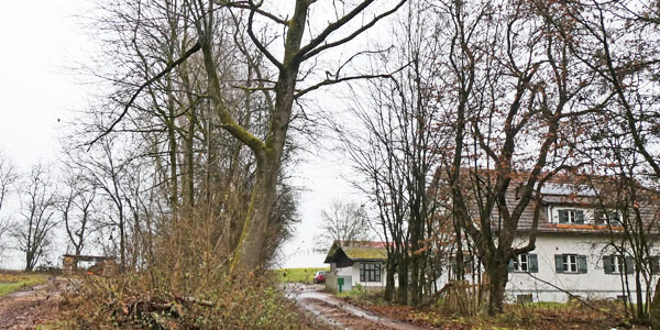 Kappelhof (Forsthaus)